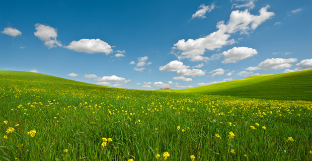 Geldof’s Africa fund backs commodity exchange company