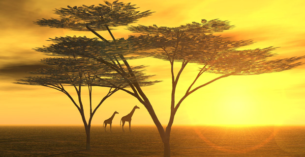 Luxury resort and villas with golf courses in South Africa and Zambia