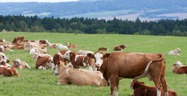 CEVA expands presence in China with acquisition of Sichuan subsidiary