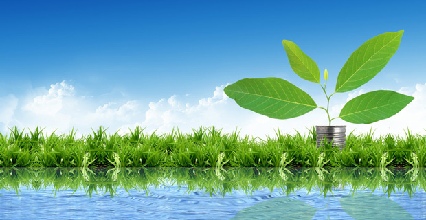 Algae to Fuel Project in the United States